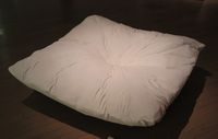 吉原 穂華《クッション―押されて、なお張る―》