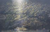 一居 孝明《gold story Ⅳ》