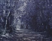 平松幸雄《森の散歩道》